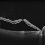 8ceff0b6-f7f0-42a9-8511-72a49a156873