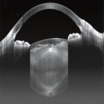 9fd91c0a-2076-4d40-bb43-193d674f4823