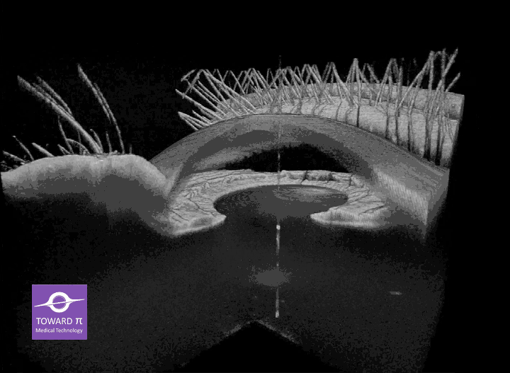 ae29cd5f-ad9b-4eb6-98b6-d0db094ff0dd