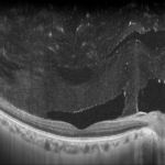 c7748908-1d53-49fa-afd3-eb17f5d8c48f