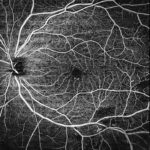 edea92ab-2b4e-4c7c-89e6-a1b275e11125