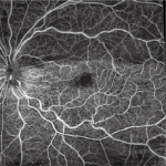 f0a191de-d947-4a14-b052-dd35085fd360